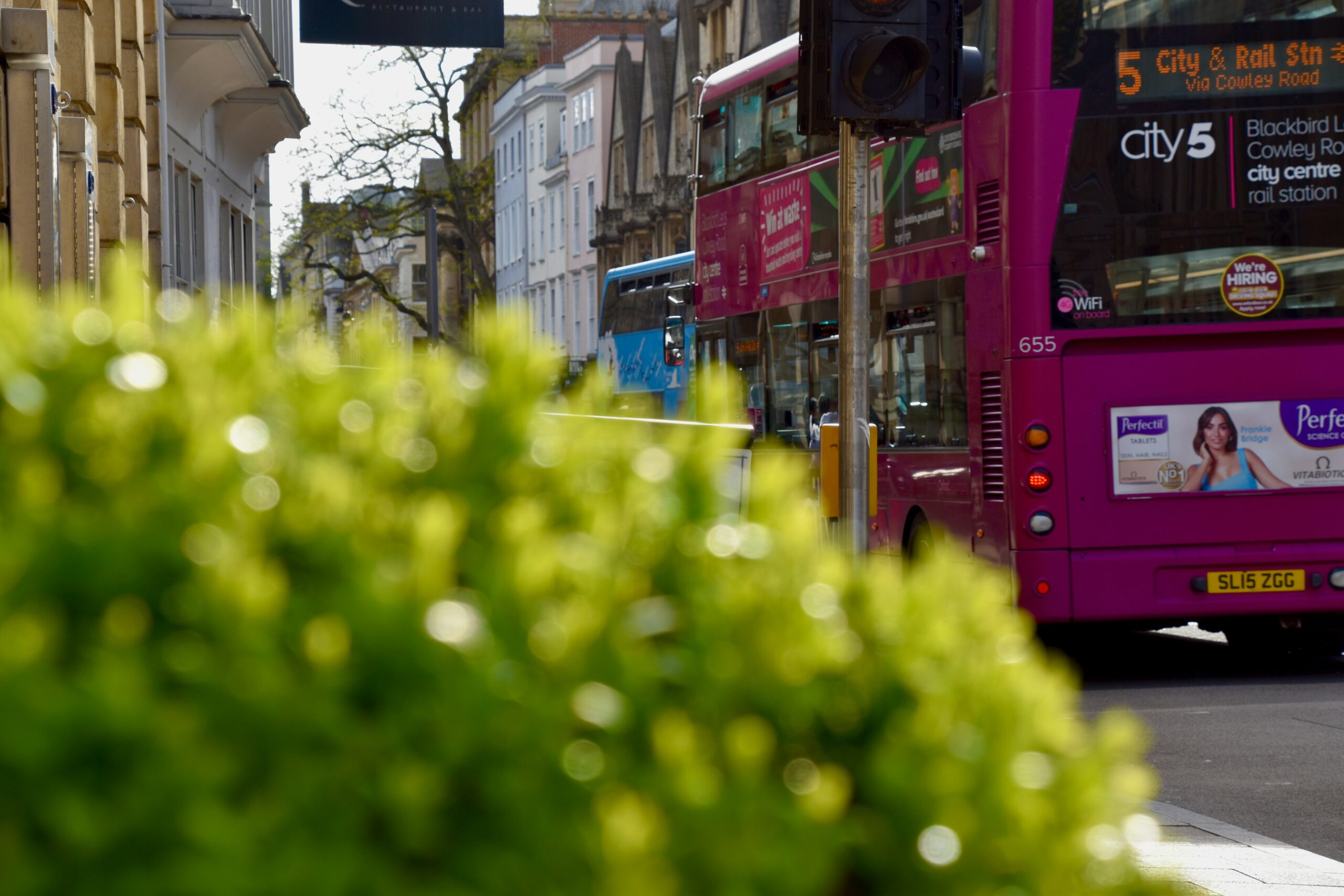 Image of a bus and plants in Oxford by Samuel Isaacs